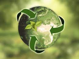 Embracing Sustainable Practices for a Greener Future