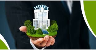 Embracing Sustainability: The Rise of the Environmentally Friendly Hotel Industry