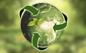 Embracing an Environmentally Friendly Lifestyle: Small Changes, Big Impact