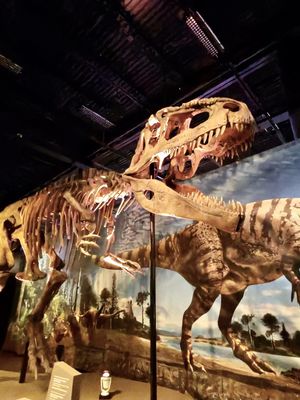 beautiful attractions near me