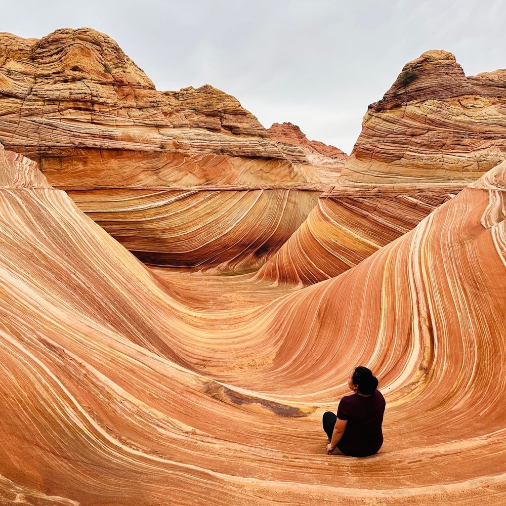 Explore the Best Visitor Attractions Near Me: Uncover Hidden Gems in Your Area