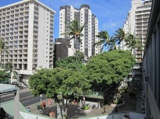 Discover Tranquility at Kuhio Banyan Hotel in Waikiki